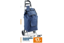 boodschappenwagen xl
