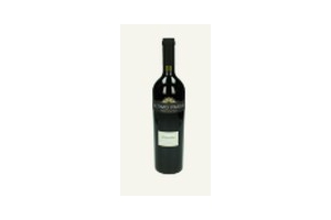 ultimo passo primitivo