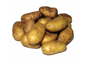 extra grove aardappelen