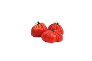 coeur de boeuf tomaten