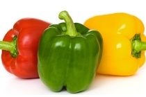 paprika tricolore