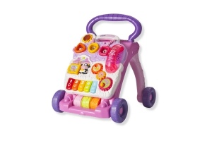 vtech baby walker roze