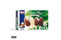 mini mix ijs