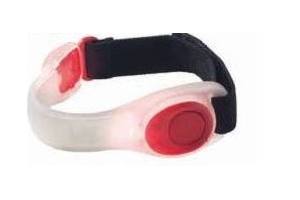 running armband