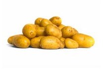 aardappel agria