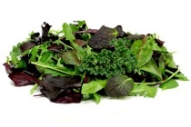 kropslamix