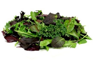 kropslamix