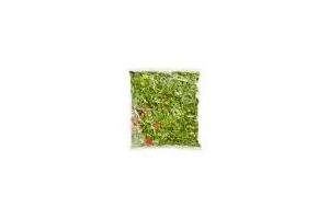 andijvie stamppot mix
