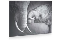 schilderij elephant and baby