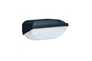 philips beveiligingslamp fwc 110 kp