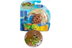 robo turtle
