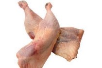 frazantbout