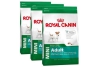 royal canin mini adult