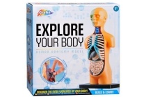 explore your body