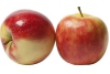 appel elstar demeter