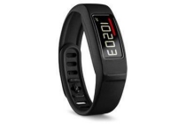 garmin v en iacute vofit 2