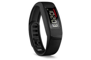 garmin v en iacute vofit 2