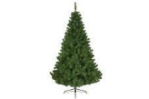 kerstboom imperial pine