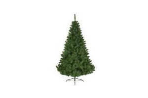 kerstboom imperial pine