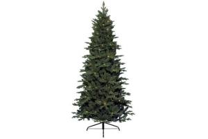 kerstboom frasier pine