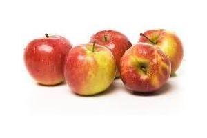 merkloos mcd hollandse jonagold appels 2 5 kilo