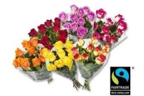 fairtrade rozen