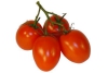 roma cherry tomaatjes