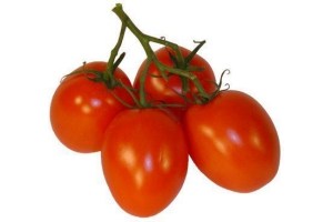 roma cherry tomaatjes