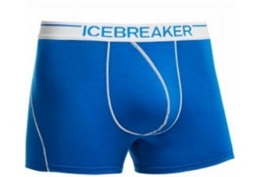 icebreaker anatomica boxer