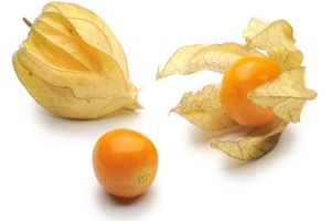 physalis