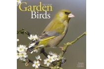 kalender 2016 garden birds