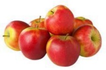 plus elstar appels tas 1 5 kg