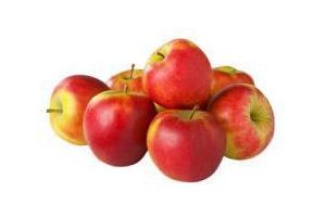 plus elstar appels tas 1 5 kg