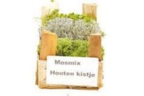 mosmix in houten kistje