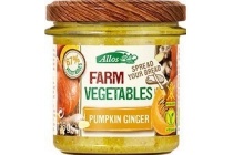 farm vegetables pumpkin ginger