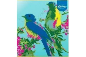 kleenex collections birds