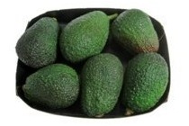 baby avocado