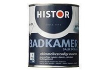 histor badkamer muurverf