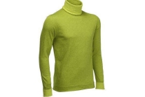 thermoshirt ski 2warm heren grijs of groen wed ze