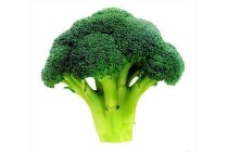 plus broccoli