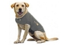 thundershirt