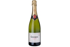 codorn en iacute u clasico brut