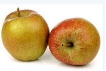 goudreinet appelen