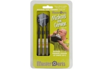 dartpijlen michael van gerwen 20 gram