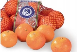 mandarijnen net 1 kilo en euro 1 49