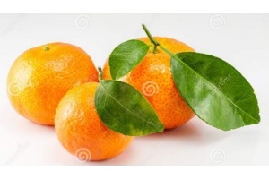 bladsinaasappel