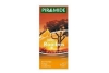 piramide rooibos juicy