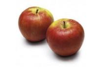 hollandse lola handappels