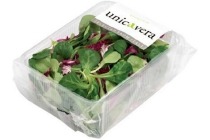mesculum de luxe of rucola sla