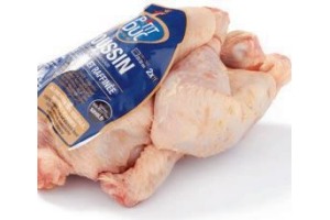 poussin piepkuiken